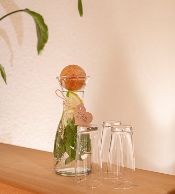 Appartement mit Wellness & Sauna - Aparthotel Stadler in Flachau